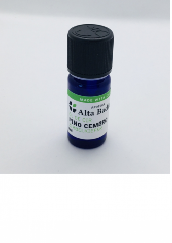 pino-cembro-1774461246